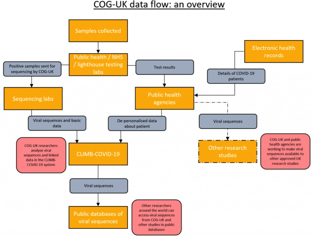 COG-UK Data Flow: An overview